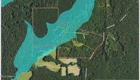 3 Forest Service Road 562, Pulaski, MS 39152 photo 14