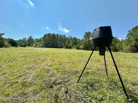 3 Forest Service Road 562, Pulaski, MS 39152 photo 30