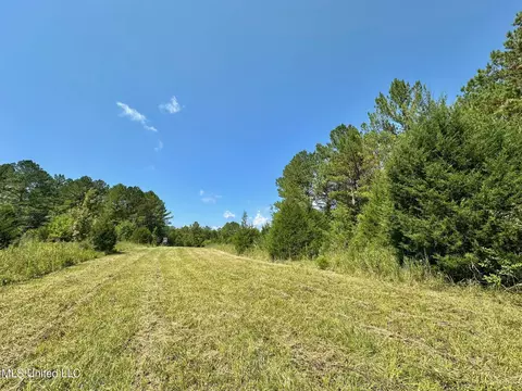 3 Forest Service Road 562, Pulaski, MS 39152 photo 27