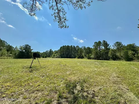 3 Forest Service Road 562, Pulaski, MS 39152 photo 31