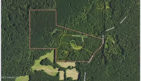 3 Forest Service Road 562, Pulaski, MS 39152 photo 12