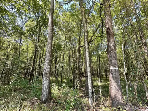 3 Forest Service Road 562, Pulaski, MS 39152 photo 39
