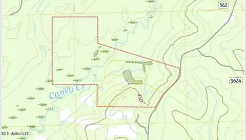 3 Forest Service Road 562, Pulaski, MS 39152 photo 13
