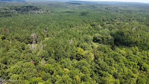 3 Forest Service Road 562, Pulaski, MS 39152 photo 62