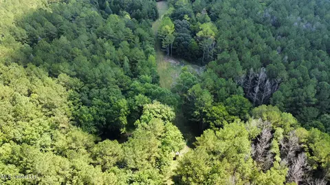 3 Forest Service Road 562, Pulaski, MS 39152 photo 65