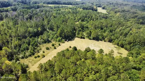 3 Forest Service Road 562, Pulaski, MS 39152 photo 57