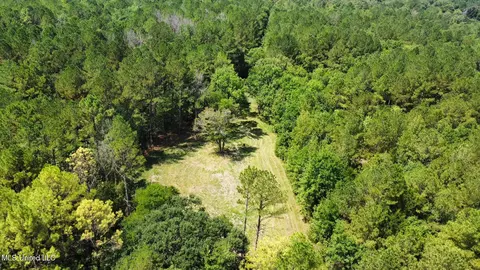 3 Forest Service Road 562, Pulaski, MS 39152 photo 56