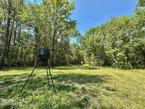 3 Forest Service Road 562, Pulaski, MS 39152 photo 20