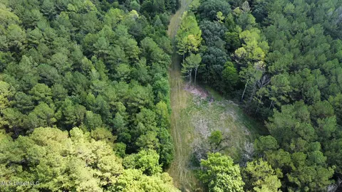 3 Forest Service Road 562, Pulaski, MS 39152 photo 66