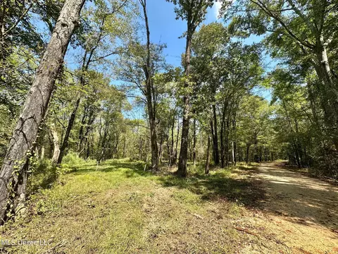 3 Forest Service Road 562, Pulaski, MS 39152 photo 24