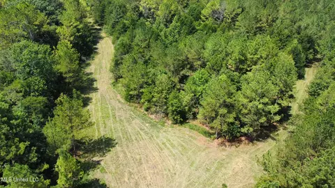 3 Forest Service Road 562, Pulaski, MS 39152 photo 55