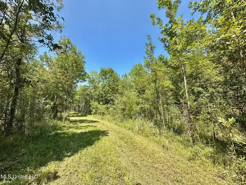 3 Forest Service Road 562, Pulaski, MS 39152 photo 32