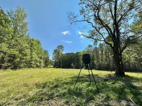 3 Forest Service Road 562, Pulaski, MS 39152 photo 19