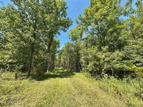 3 Forest Service Road 562, Pulaski, MS 39152 photo 33
