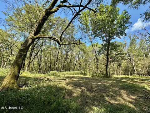 3 Forest Service Road 562, Pulaski, MS 39152 photo 25