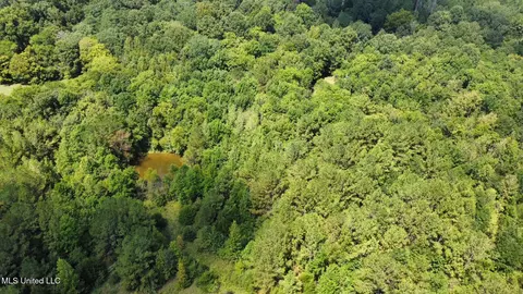 3 Forest Service Road 562, Pulaski, MS 39152 photo 60