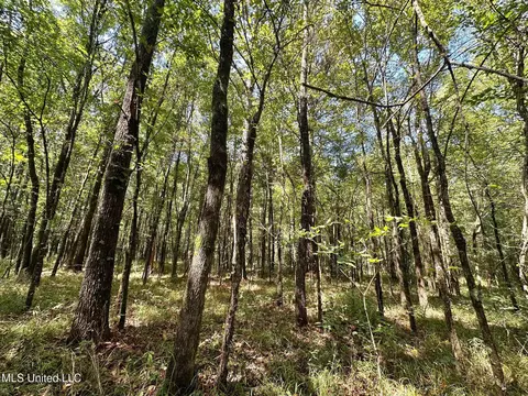 3 Forest Service Road 562, Pulaski, MS 39152 photo 36