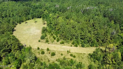 3 Forest Service Road 562, Pulaski, MS 39152 photo 59