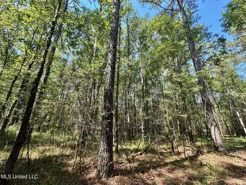 3 Forest Service Road 562, Pulaski, MS 39152 photo 26