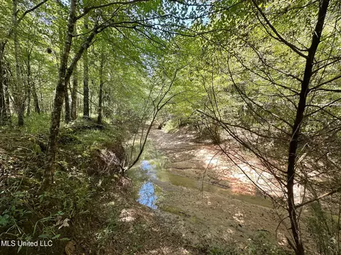 3 Forest Service Road 562, Pulaski, MS 39152 photo 40