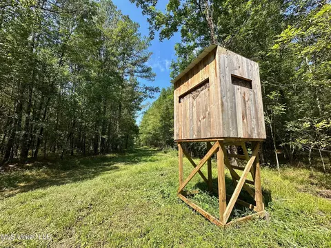 3 Forest Service Road 562, Pulaski, MS 39152