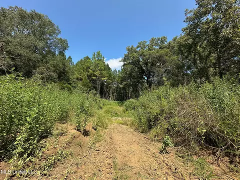 3 Forest Service Road 562, Pulaski, MS 39152 photo 41