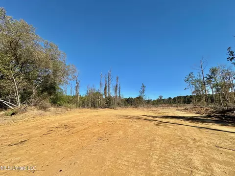 00 Pleasant Ln, Wesson, MS 39191 photo 6