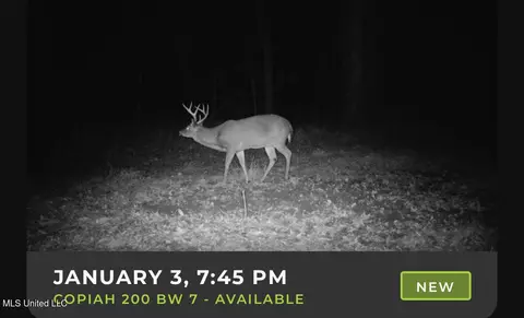 00 Pleasant Ln, Wesson, MS 39191 photo 4