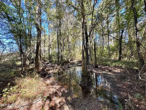 00 Pleasant Ln, Wesson, MS 39191 photo 12