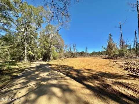 00 Pleasant Ln, Wesson, MS 39191 photo 5