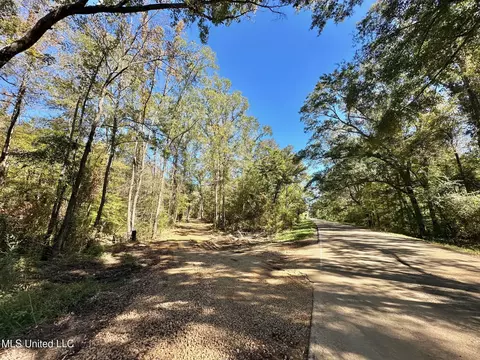 1008 Pleasant Ln, Wesson, MS 39191 photo 13