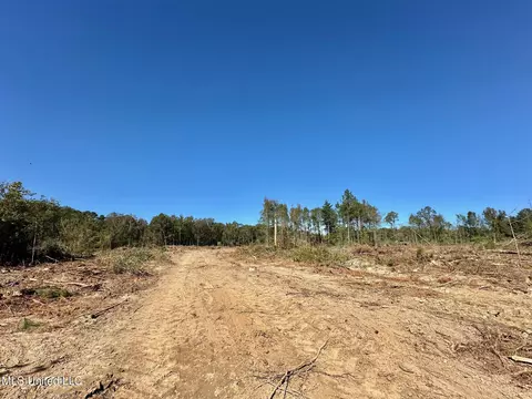 1008 Pleasant Ln, Wesson, MS 39191 photo 23