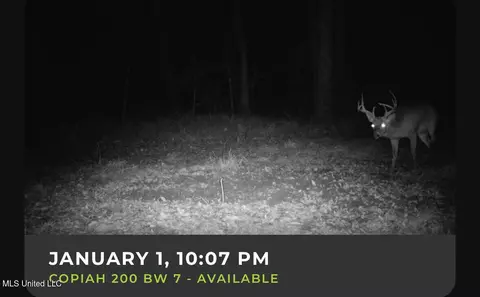 1008 Pleasant Ln, Wesson, MS 39191 photo 5