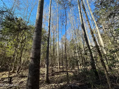 1008 Pleasant Ln, Wesson, MS 39191 photo 7