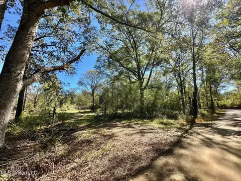 1008 Pleasant Ln, Wesson, MS 39191 photo 8