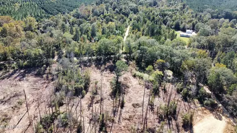 1008 Pleasant Ln, Wesson, MS 39191 photo 31
