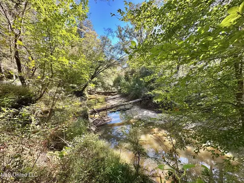 1008 Pleasant Ln, Wesson, MS 39191 photo 20