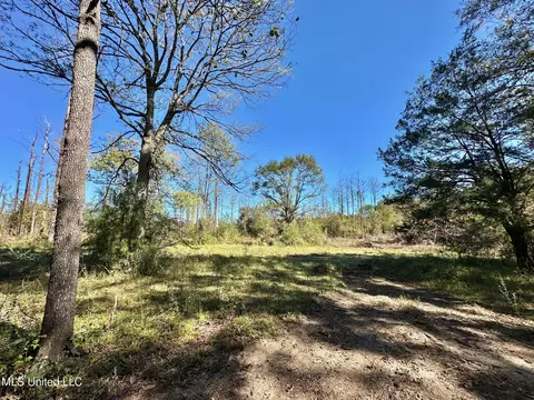 1008 Pleasant Ln, Wesson, MS 39191 photo 10