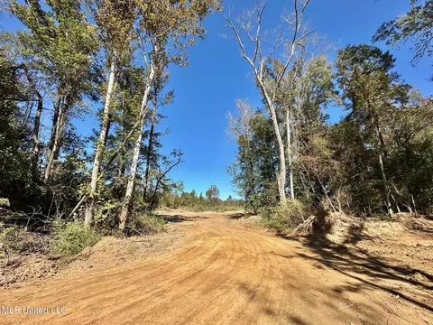 1008 Pleasant Ln, Wesson, MS 39191 photo 16