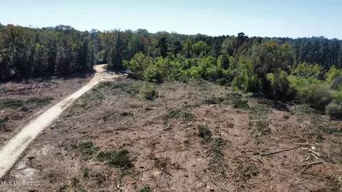 1008 Pleasant Ln, Wesson, MS 39191 photo 29