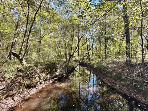 1008 Pleasant Ln, Wesson, MS 39191 photo 18
