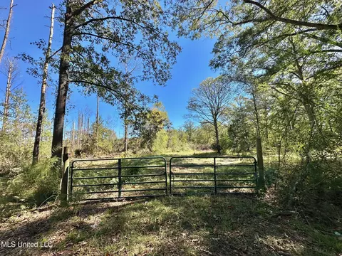 1008 Pleasant Ln, Wesson, MS 39191 photo 11