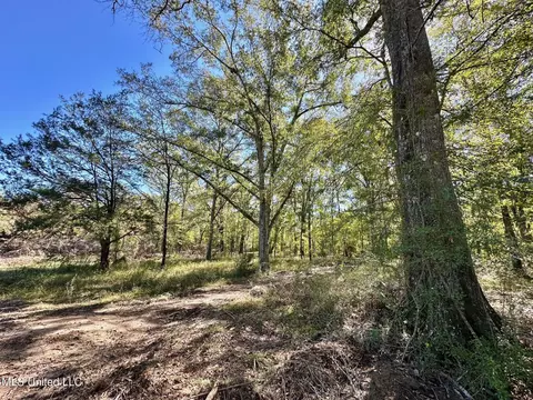 1008 Pleasant Ln, Wesson, MS 39191 photo 9