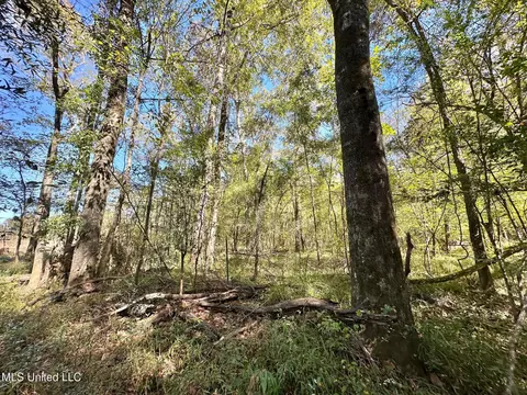 1008 Pleasant Ln, Wesson, MS 39191 photo 19