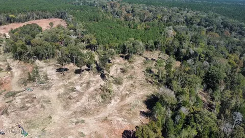 1008 Pleasant Ln, Wesson, MS 39191 photo 37