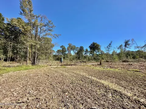 1008 Pleasant Ln, Wesson, MS 39191 photo 28
