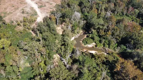 1008 Pleasant Ln, Wesson, MS 39191 photo 35
