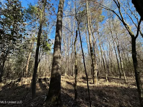 1008 Pleasant Ln, Wesson, MS 39191 photo 6