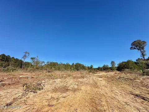 1008 Pleasant Ln, Wesson, MS 39191 photo 24