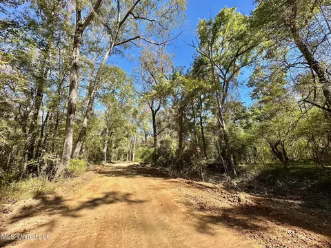 1008 Pleasant Ln, Wesson, MS 39191 photo 15